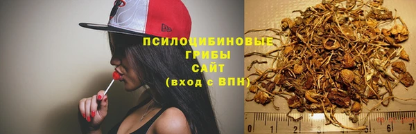 первитин Гусев