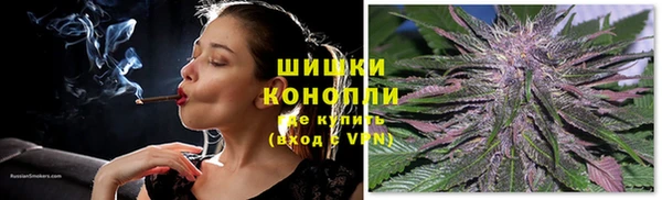Альфа ПВП Гусиноозёрск