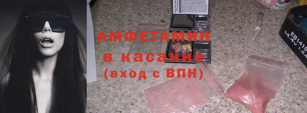 индика Дмитровск