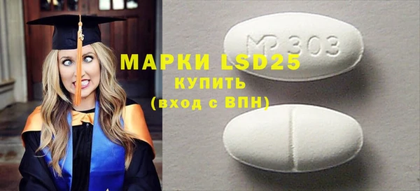 индика Дмитровск