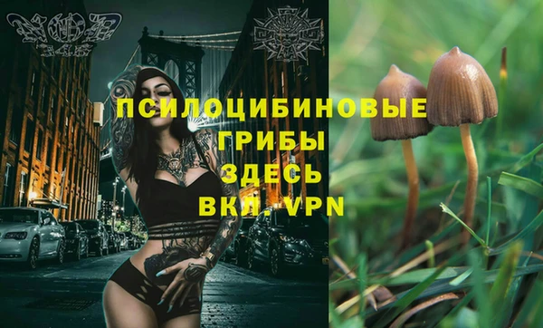 трава Пенза