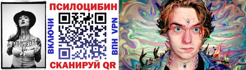 как найти закладки  Жуковка  Псилоцибиновые грибы Psilocybe 